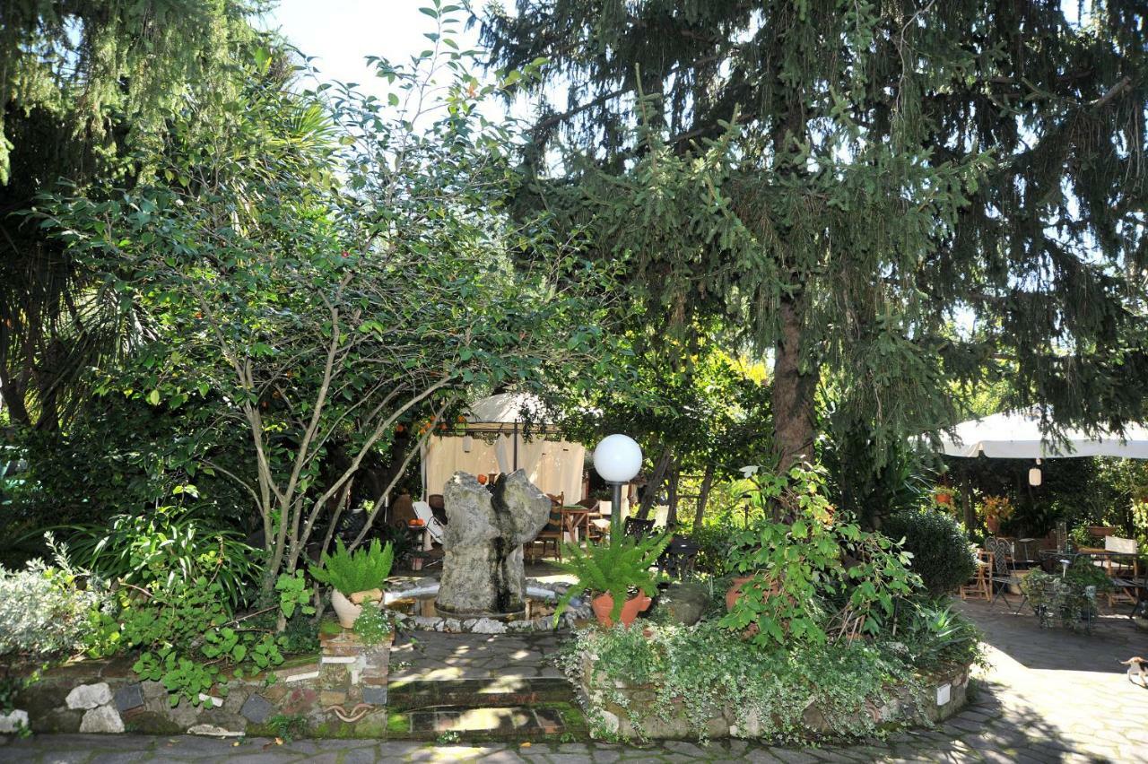 Bed and Breakfast Casa Pontecorvi à Velletri Extérieur photo