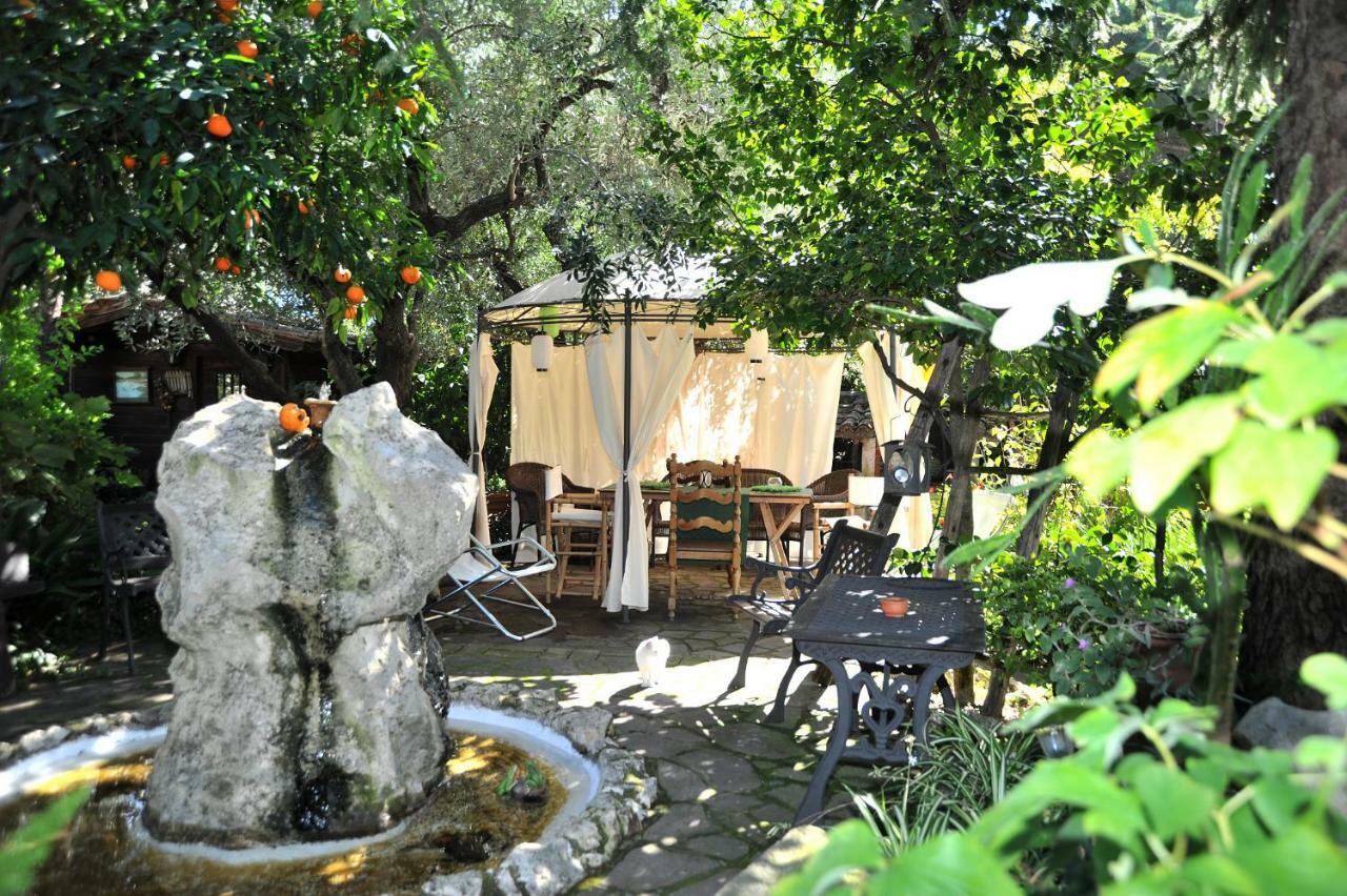 Bed and Breakfast Casa Pontecorvi à Velletri Extérieur photo