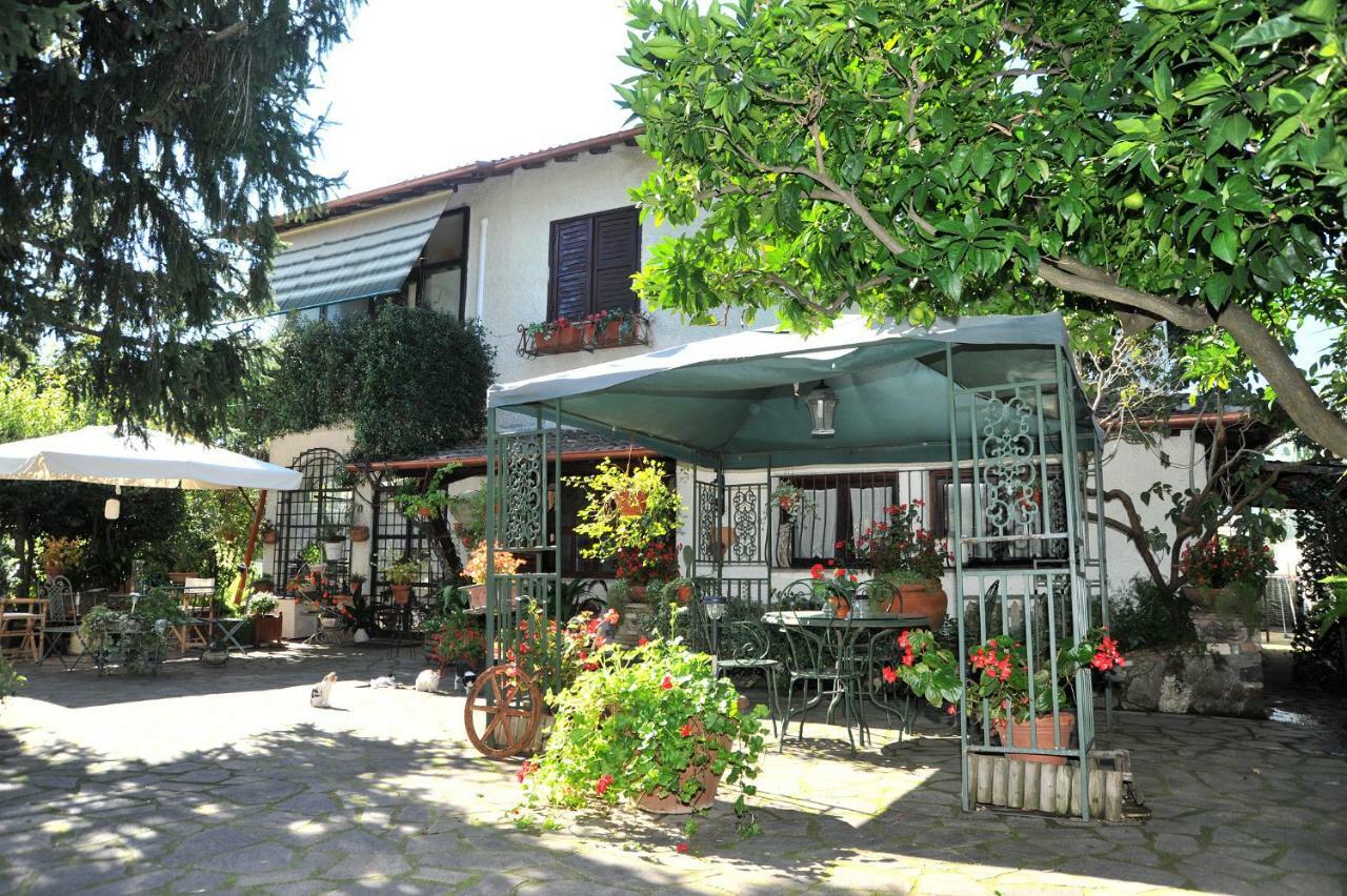 Bed and Breakfast Casa Pontecorvi à Velletri Extérieur photo